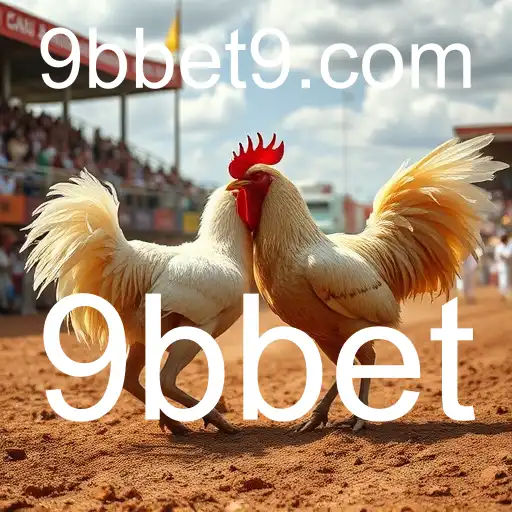 Rinha de galos